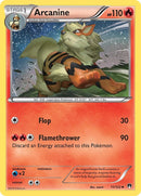 Image for Arcanine (11/122) (XY - BREAKpoint) (BKP) - Pokemon