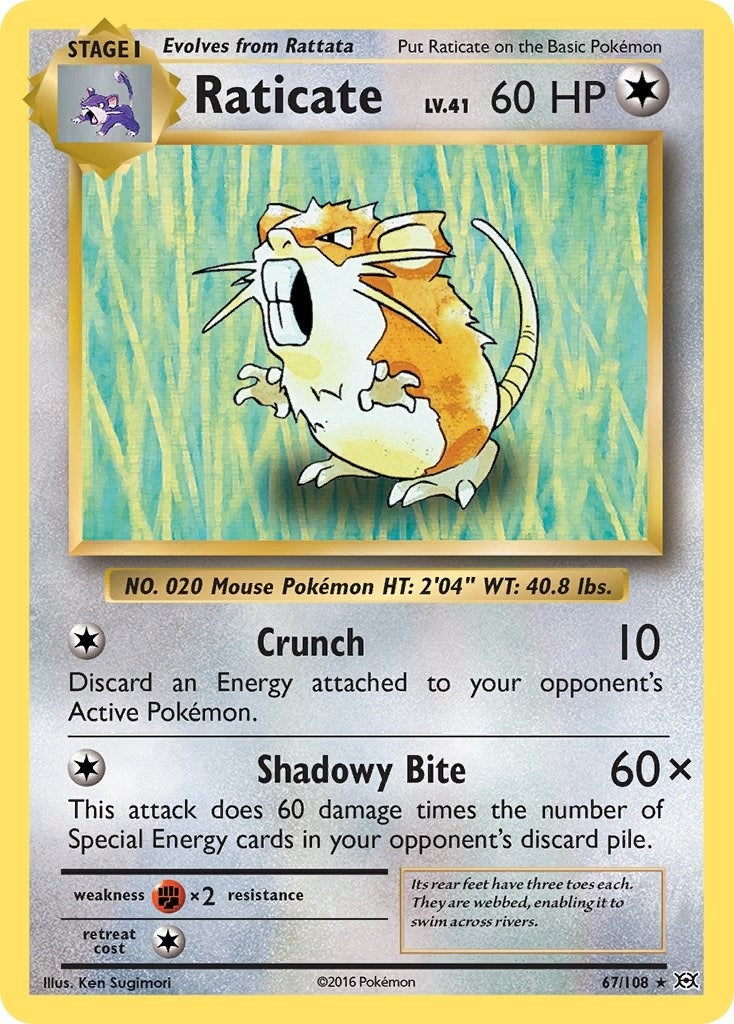 Raticate (67/108) (XY - Evolutions) Pokemon