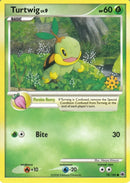 Image for Turtwig (078/100) - Pokemon
