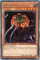 Ibicella Lutea (IGAS-EN027) (Ignition Assault) YuGiOh