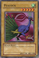 Peacock (MRL-011) (Magic Ruler) YuGiOh
