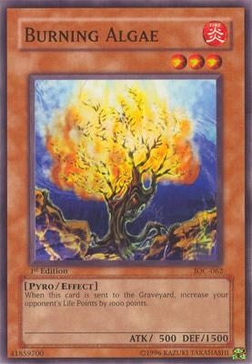 Burning Algae (IOC-062) (Invasion of Chaos) YuGiOh