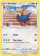 Image for Herdier (134/203) (SWSH07: Evolving Skies) - Pokemon