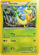Image for Servine - 3/114 (Cracked Ice Holo) (003/114) (Miscellaneous Cards & Products) (MCAP) - Pokemon