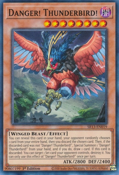 Danger! Thunderbird! (SR13-EN019) (Structure Deck: Dark World) YuGiOh