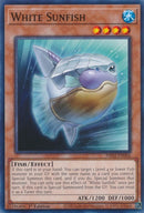 White Sunfish (PHNI-EN006) (Phantom Nightmare) YuGiOh