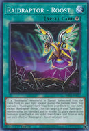Raidraptor - Roost (PHNI-EN057) (Phantom Nightmare) YuGiOh