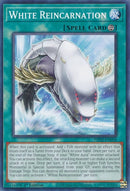 White Reincarnation (PHNI-EN058) (Phantom Nightmare) YuGiOh