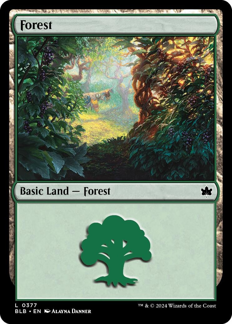 Forest (0377) (377) (Bloomburrow) Magic: The Gathering