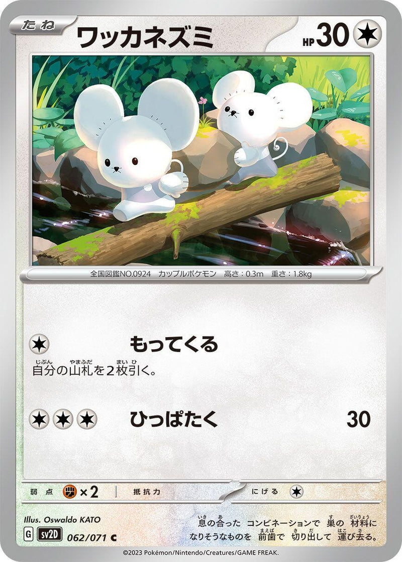 Image for Tandemaus (062/071) (SV2D: Clay Burst) (SV2D) - Pokemon Japan
