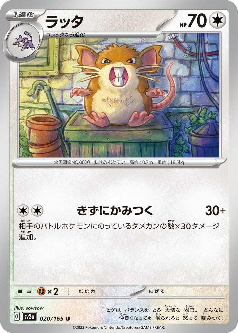 Image for Raticate (020/165) (SV2a: Pokemon Card 151) (SV2a) - Pokemon Japan