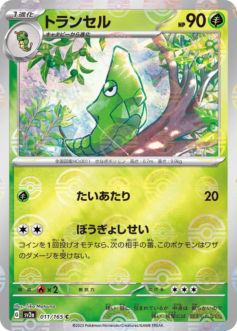 Image for Metapod (Poke Ball Pattern) (011/165) (SV2a: Pokemon Card 151) (SV2a) - Pokemon Japan