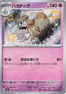 Image for Houndstone (275/190) (SV4a: Shiny Treasure ex) (SV4a) - Pokemon Japan