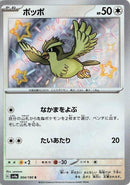 Image for Pidgey (304/190) (SV4a: Shiny Treasure ex) (SV4a) - Pokemon Japan