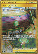 Turffield Stadium (100/069) (S6a: Eevee Heroes) (S6a) Pokemon Japan