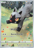 Image for Poochyena (208/172) (S12a: VSTAR Universe) (S12a) - Pokemon Japan