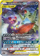 Image for Mega Sableye & Tyranitar GX (102/094) (SM11: Miracle Twin) (SM11) - Pokemon Japan