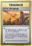 Image for Pokemon Breeder Fields (Awakening Legends) - Pokemon Japan