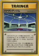 Image for Cerulean City Gym (Leaders' Stadium) - Pokemon Japan