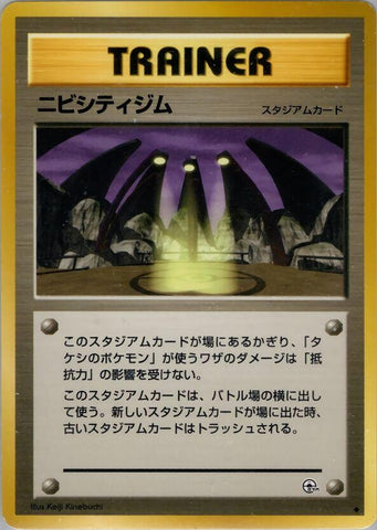 Image for Pewter City Gym (Leaders' Stadium) - Pokemon Japan