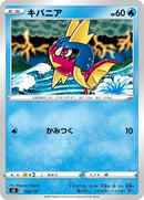 Image for Carvanha (022/127) (sD: V Starter Decks) (sD) - Pokemon Japan