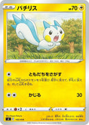 Image for Pachirisu (143/414) (SI: Start Deck 100) (SI) - Pokemon Japan