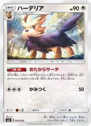 Image for Herdier (035/059) (smA: Sun & Moon Starter Set) (smA) - Pokemon Japan