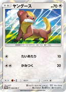 Image for Yungoos - 004/SM-P (004/SM-P) (SM-P: Sun & Moon Promos) (SM-P) - Pokemon Japan
