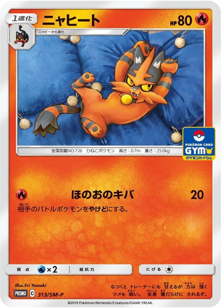 Image for Torracat - 313/SM-P (313/SM-P) (SM-P: Sun & Moon Promos) (SM-P) - Pokemon Japan