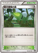 Forest of Giant Plants (154/171) (SM: The Best of XY) Pokemon Japan