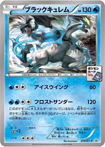 Image for Black Kyurem - 239/XY-P (239/XY-P) (XY-P: XY Promos) - Pokemon Japan