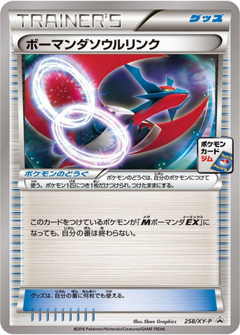 Image for Salamence Spirit Link - 258/XY-P (258/XY-P) (XY-P: XY Promos) - Pokemon Japan