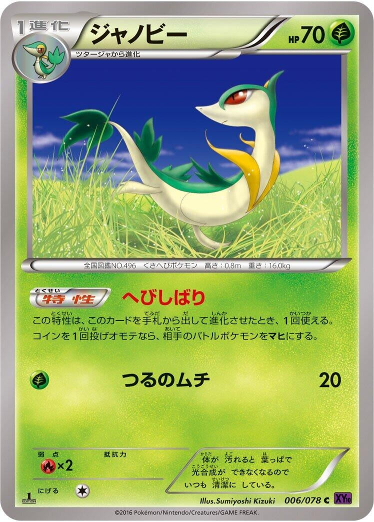Image for Servine (006/078) (XY10: Awakening Psychic King) - Pokemon Japan