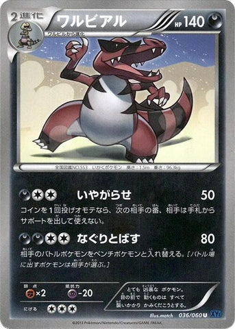 Image for Krookodile (036/060) (XY-Bx: Collection X) - Pokemon Japan