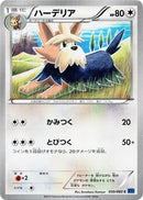 Image for Herdier (050/060) (XY-Bx: Collection X) - Pokemon Japan