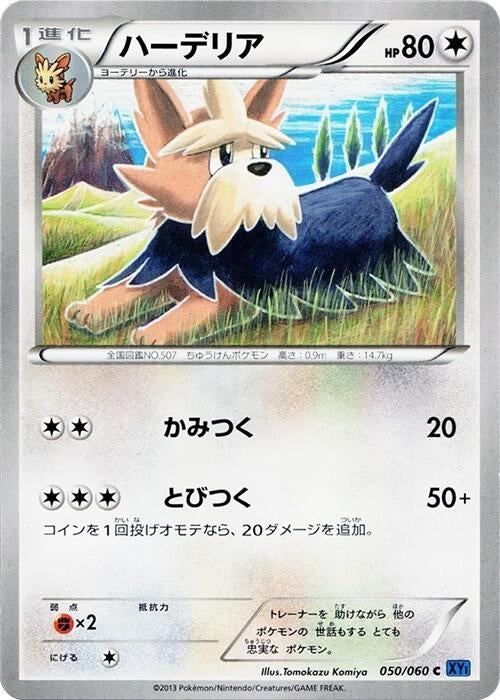 Image for Herdier (050/060) (XY-Bx: Collection X) - Pokemon Japan