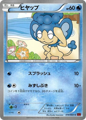 Panpour (019/060) (XY-By: Collection Y) Pokemon Japan