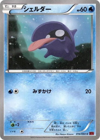 Shellder (016/060) (XY-By: Collection Y) Pokemon Japan
