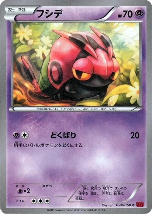 Venipede (024/060) (XY-By: Collection Y) Pokemon Japan