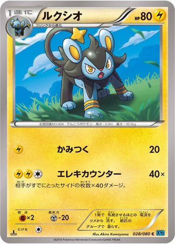 Image for Luxio (028/080) (XY2: Wild Blaze) - Pokemon Japan