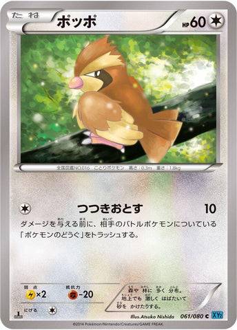 Image for Pidgey (061/080) (XY2: Wild Blaze) - Pokemon Japan