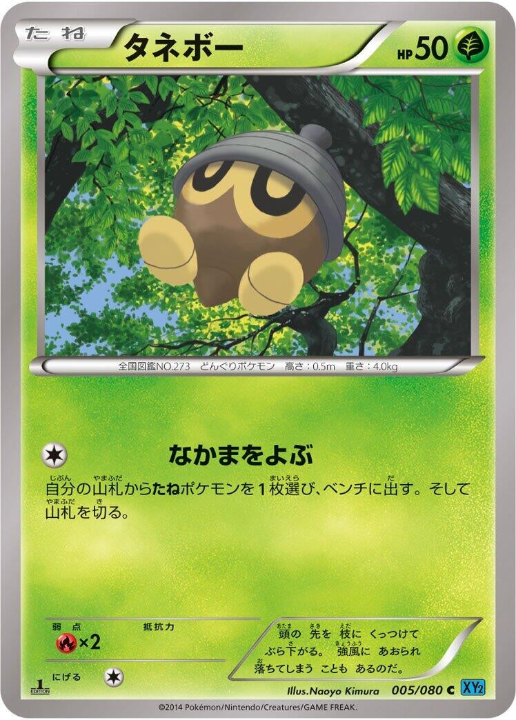 Image for Seedot (005/080) (XY2: Wild Blaze) - Pokemon Japan