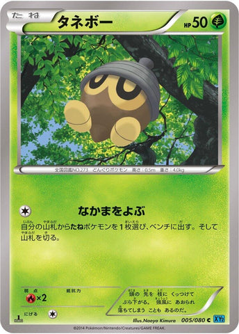 Image for Seedot (005/080) (XY2: Wild Blaze) - Pokemon Japan