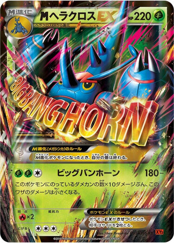 Image for Heracross (005/096) (XY3: Rising Fist) - Pokemon Japan
