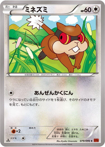 Image for Patrat (079/096) (XY3: Rising Fist) - Pokemon Japan
