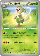 Image for Breloom (008/070) (XY5-Bg: Gaia Volcano) - Pokemon Japan