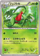 Image for Grovyle (004/070) (XY5-Bg: Gaia Volcano) - Pokemon Japan