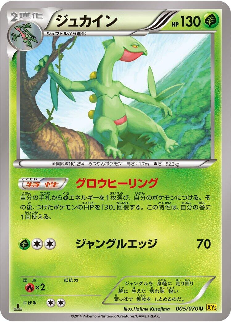 Image for Sceptile (005/070) (XY5-Bg: Gaia Volcano) - Pokemon Japan