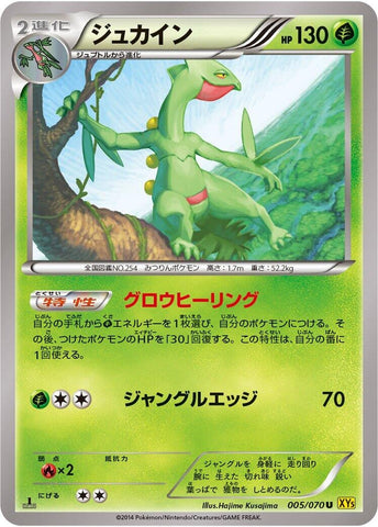 Image for Sceptile (005/070) (XY5-Bg: Gaia Volcano) - Pokemon Japan