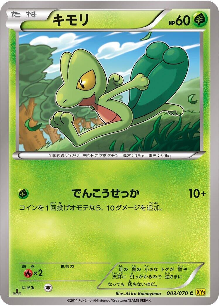 Image for Treecko (003/070) (XY5-Bg: Gaia Volcano) - Pokemon Japan